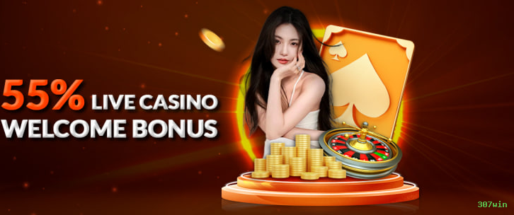 Download PC 307win