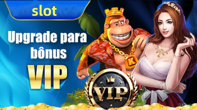 Segurança 307win